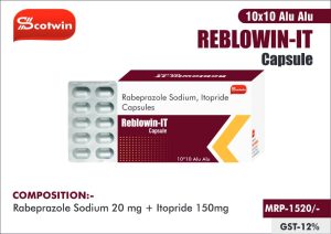 REBLOWIN-IT